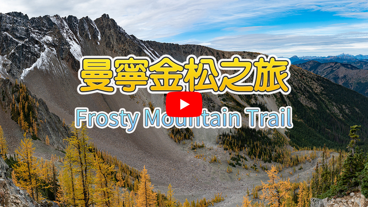 金松之旅视频