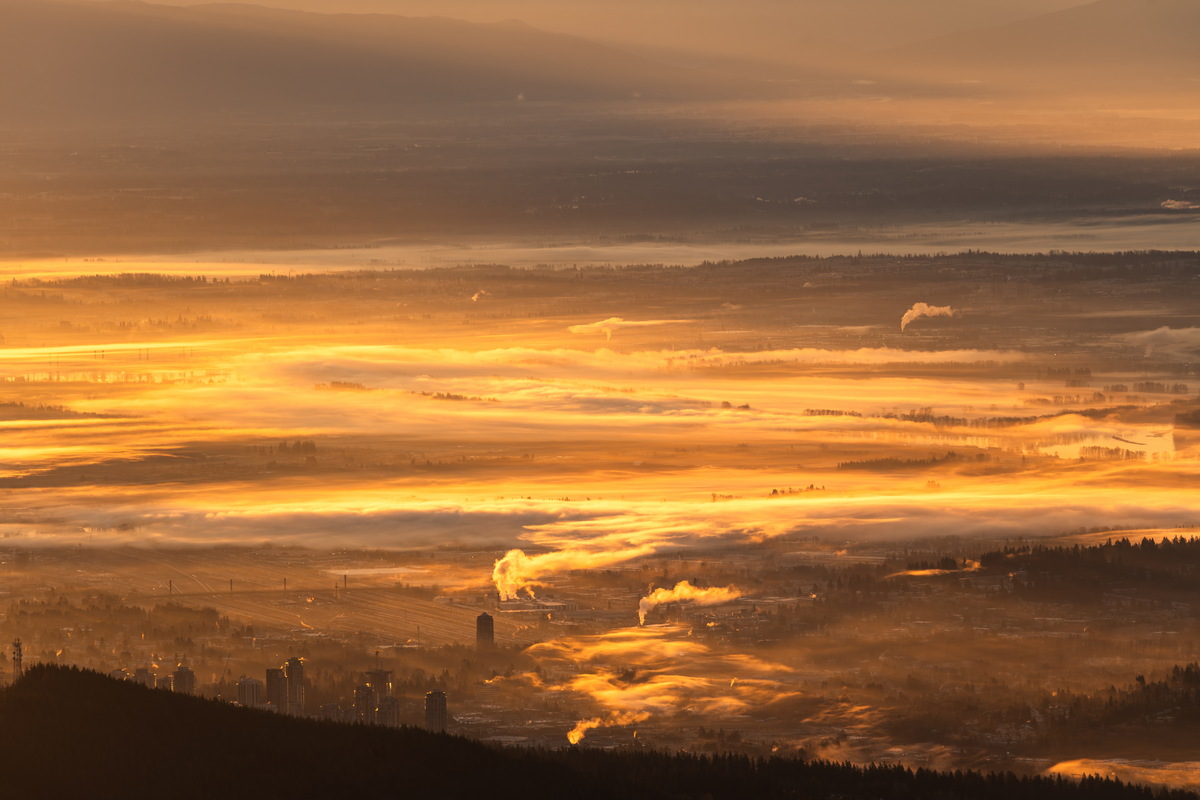 金色云海细节 · Golden fog detail — Mount Seymour Provincial Park, North Vancouver, BC