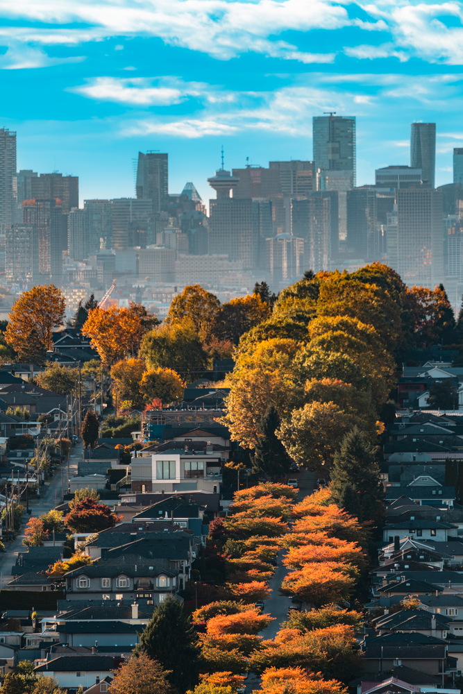 Capitol Hill · 长焦下的楼群与秋树 · Towers and autumn trees, telephoto, Capitol Hill, Burnaby — Capitol Hill Reservoir Park, Burnaby, BC