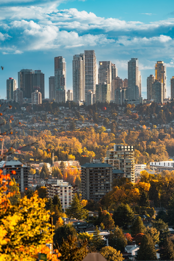 Capitol Hill · 城市天际线与秋色 · Skyline above autumn trees, Capitol Hill, Burnaby — Capitol Hill Reservoir Park, Burnaby, BC