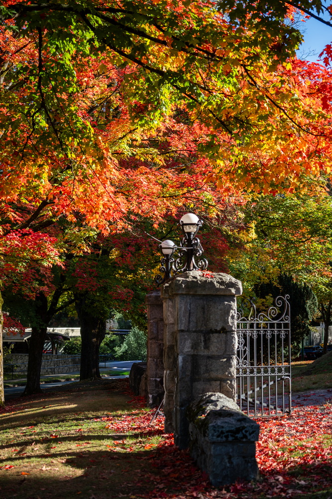 Deer Lake 公园 · 石门柱与红枫 · Stone gate and red maples, Deer Lake Park, Burnaby — Deer Lake Park, Burnaby, BC