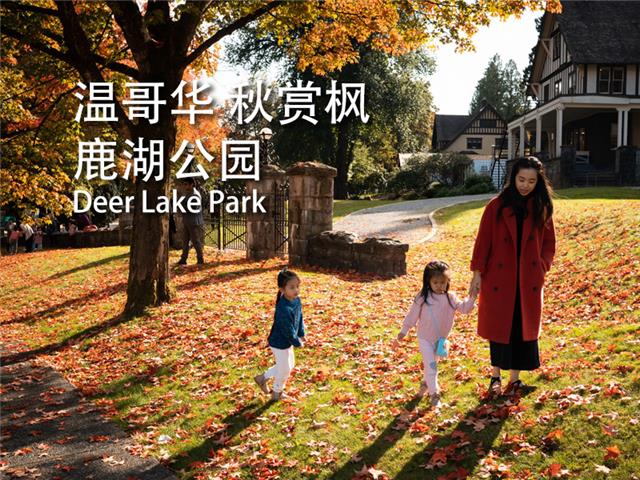 大温赏枫叶之鹿湖公园 (Deer Lake Park)